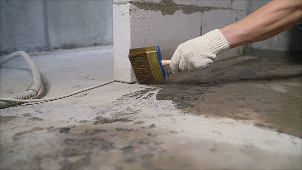 24/7 Emergency Exterior Waterproofing experts in Mount Olivet, KY